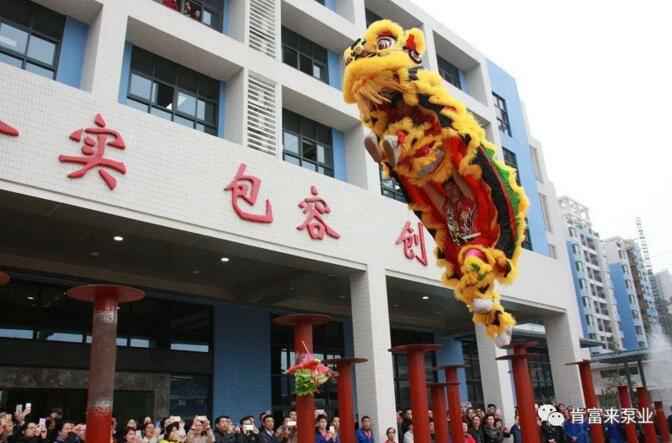 醒狮贺岁，IM官方版网站登录入口-IM(中国)2019年开工大吉